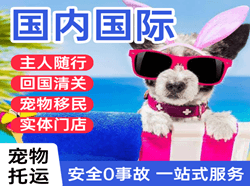日照山字河机场空运国际宠物托运 【国